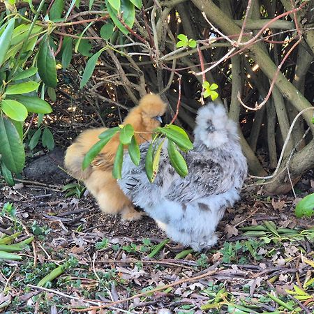 Gemuetliche Wohnung Direkt Am Kuestenkanal! Wardenburg Esterno foto
