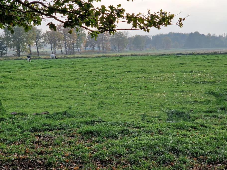 Gemuetliche Wohnung Direkt Am Kuestenkanal! Wardenburg Esterno foto