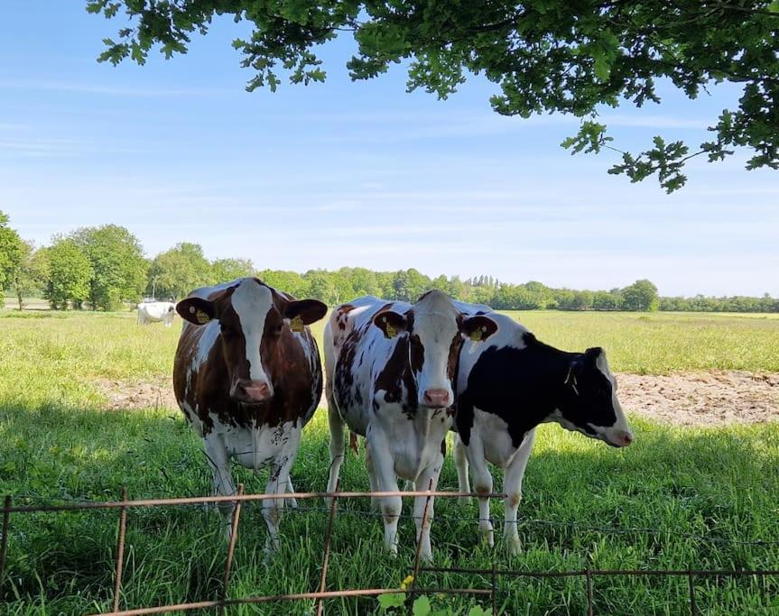 Gemuetliche Wohnung Direkt Am Kuestenkanal! Wardenburg Esterno foto